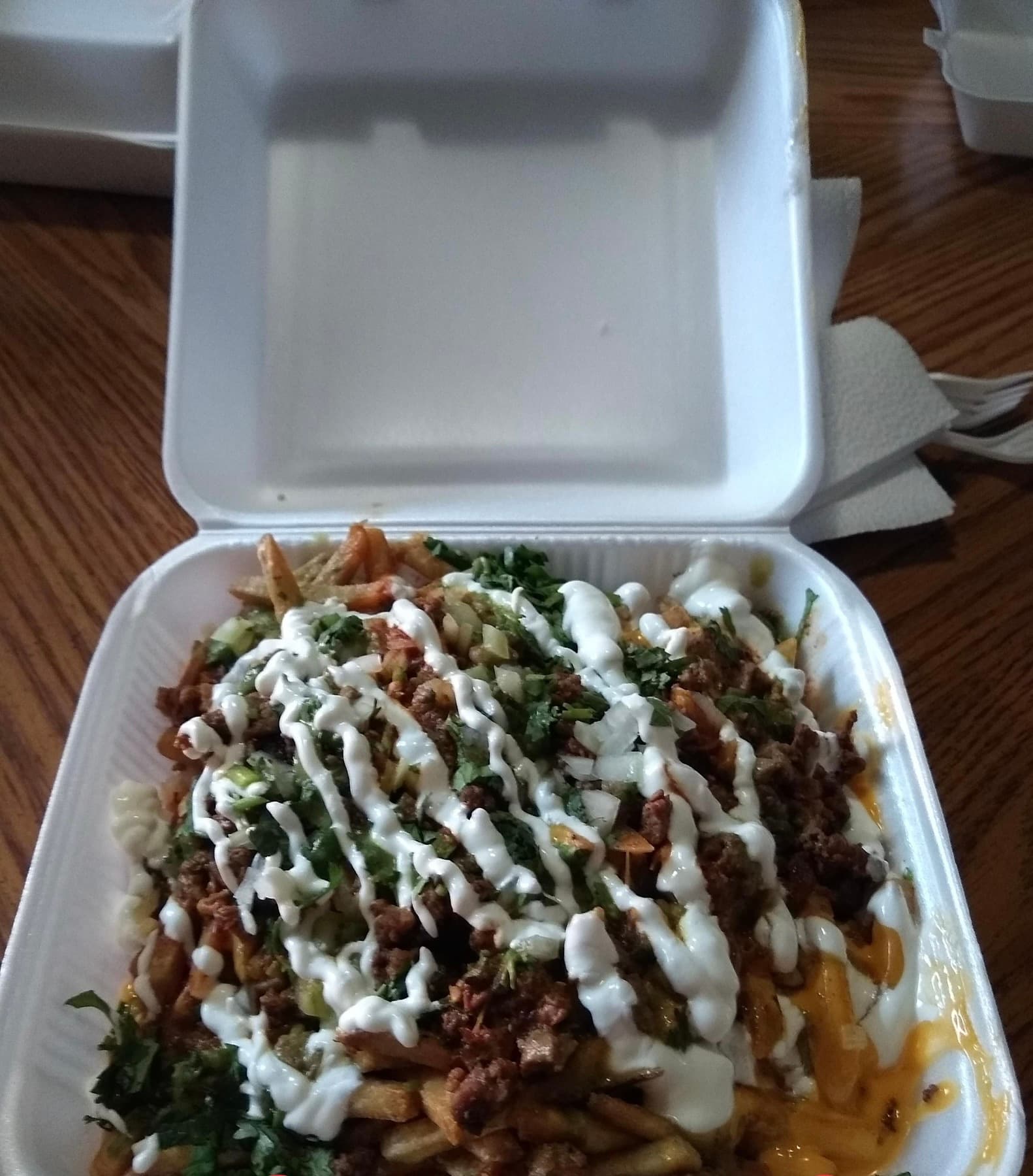 Asada Fries