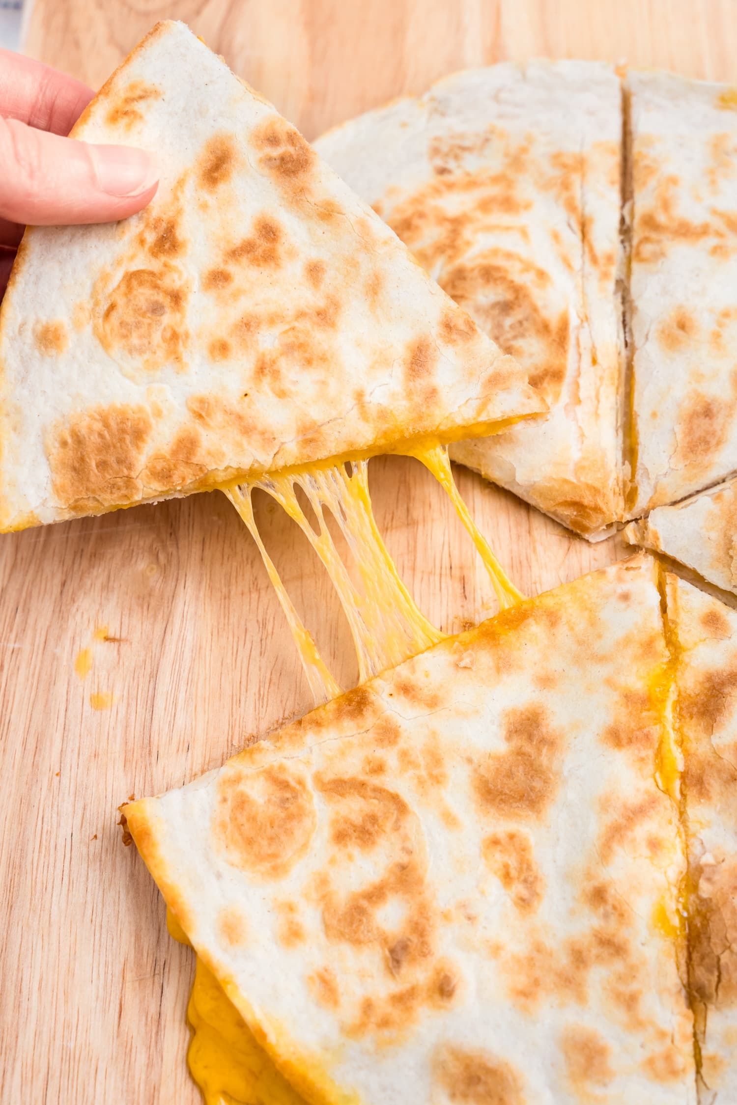 Quesadilla